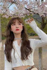 春庭雪落离人苑在线阅读