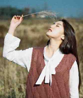 当归不识旧时驿新上热文