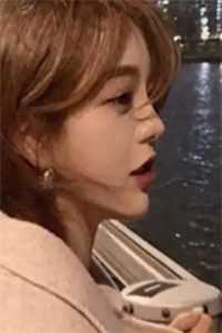 飞雁渡春秋几重连载