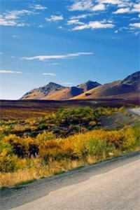 再见，格桑花海全文无删减