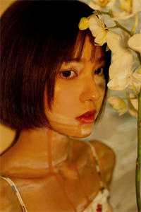 风止于拂晓前畅销巨著