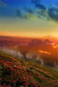 离婚后，她和隔壁糙汉的那点破事精品推荐