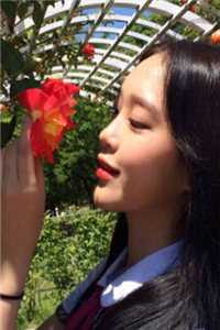 军犬拼死护主，五位将军叔叔泪崩无删减全文