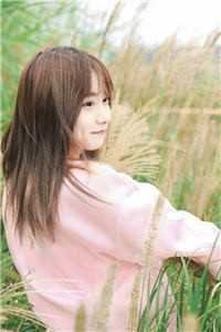 月落寒雾沉沉完整