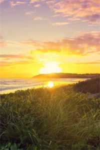 我一心求死后，大家突然都开始爱我全局