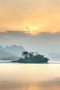 衰神附体的我在缅北学电诈后，园区老大自首了小说全文免费阅读