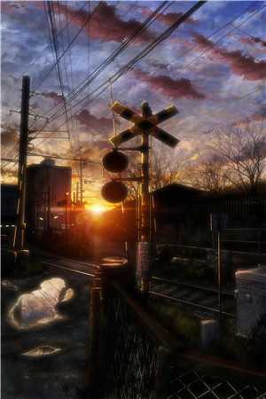 风止于拂晓前最新章节列表