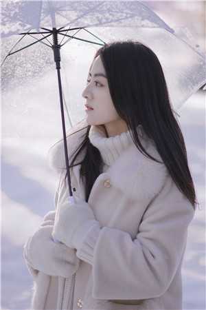 重生后，哥哥们悔疯了目录