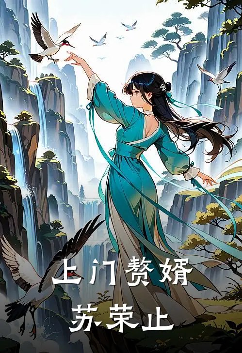 上门赘婿苏荣止