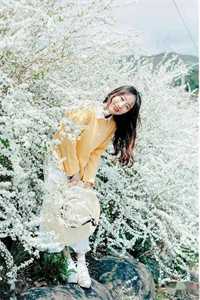 风卷帘处无故人前言+后续