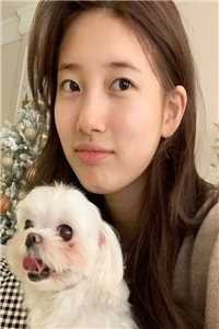 故巷风散旧誓约完本