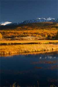 邀明月难成眠谢令萝贺兰辞结局+番外