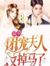 赵廷川林淼月全文目录畅读