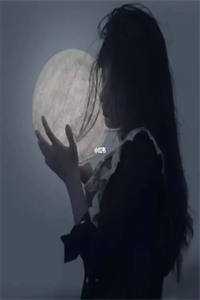 只愿浮生共清欢前文+后续